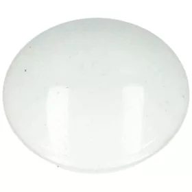 B-73981.jpg