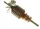 Rotor - 230V/1Ph