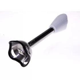 Turmixrúd