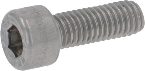 CYLINDER HEAD SCREW M5x14 ST. ST.