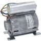 ELEKTROMOS MOTOR 115V 50/60Hz APPIA 1GR. 1