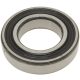 CSAPÁGY 6006-2RS SKF