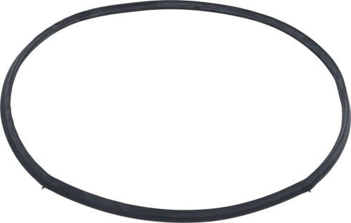 GASKET AMICA 8066308