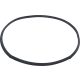 GASKET AMICA 8066308