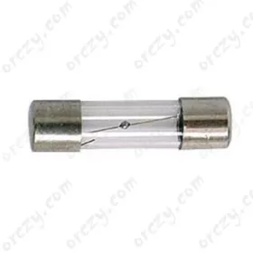 0,8A  (800mA)  250V  5x20  üvegbiztosíték lassú