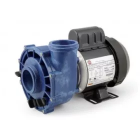   Emerson® Gecko® Aquaflo® Circ-Master CMXP 2 "-os keringető szivattyú Sundance® jacuzziba