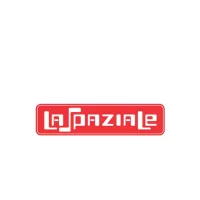 Spaziale